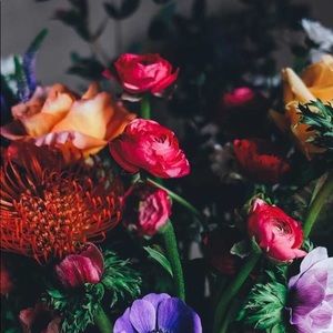 Meet your Posher, Izzy